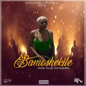 Music Fellas - Bamoshekile ft. Shahida